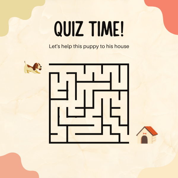 Maze Puzzles